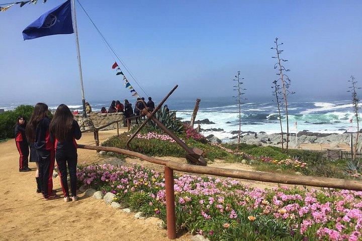 Isla Negra Museum & CasaBlanca Weingut Von Valpo. Private Tour