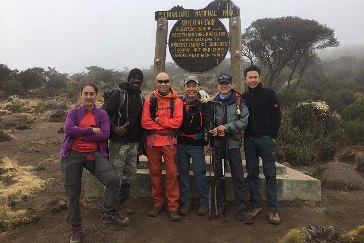 Ruta Lemosho 7 días.