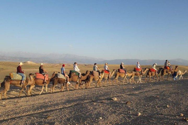 Quad Biking & camel ride Agafay desert with Lunch or dinner