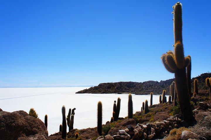 One Day Tour (uyuni Salt Flats)