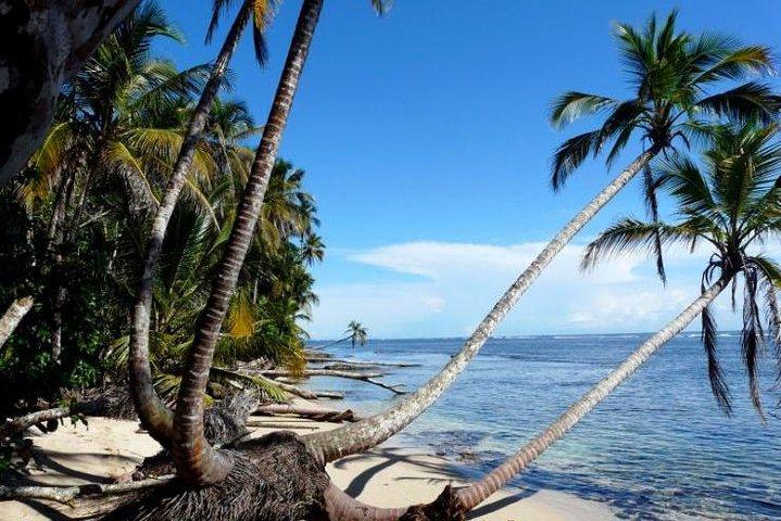 12 jours: programme Naturally Costa Rica