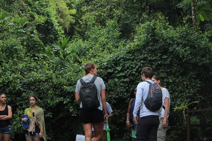 Indgangsgebyr til Arenal Volcano Ecological Park