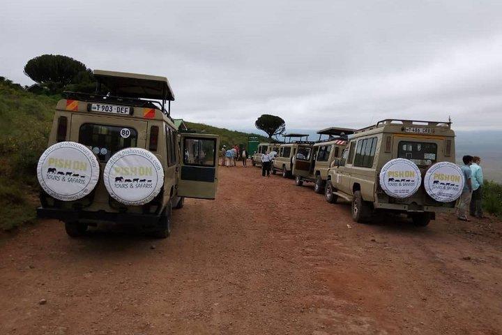 Tanzania Budget camping safari