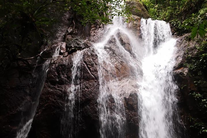 Jungle Trek + Waterfall + Batu Caves