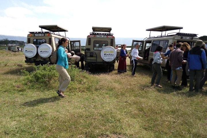 5 dagar Wildebeest Migrations Safari