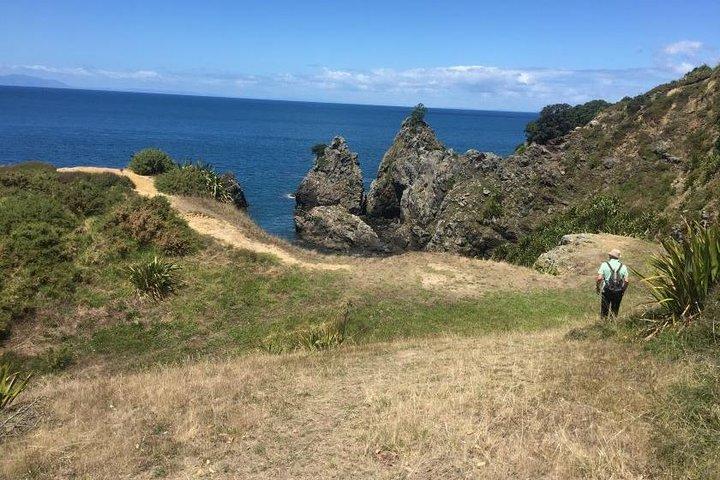 Tāwharanui- Dem Rummel entfliehen und Neuseeland pur erleben - Privattour