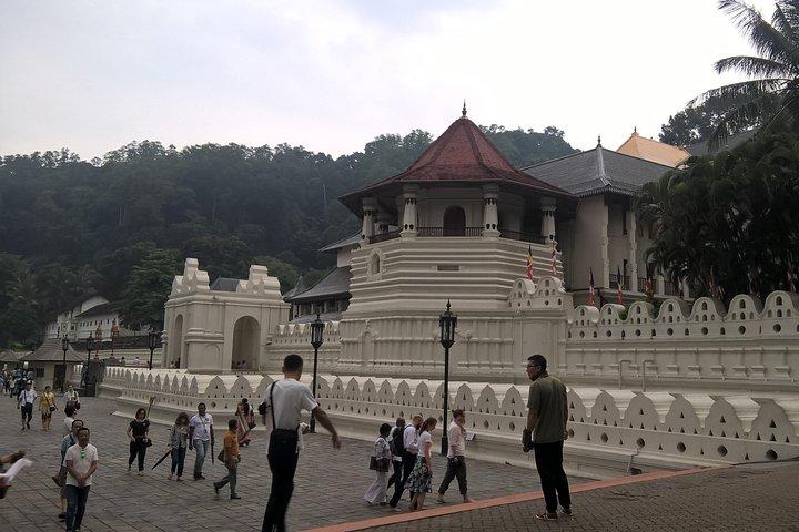 Kandy Day Tour Fra Colombo