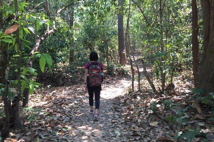 Half Day Doi Suthep Temple og kort trekking på munk trail (Private Tour)
