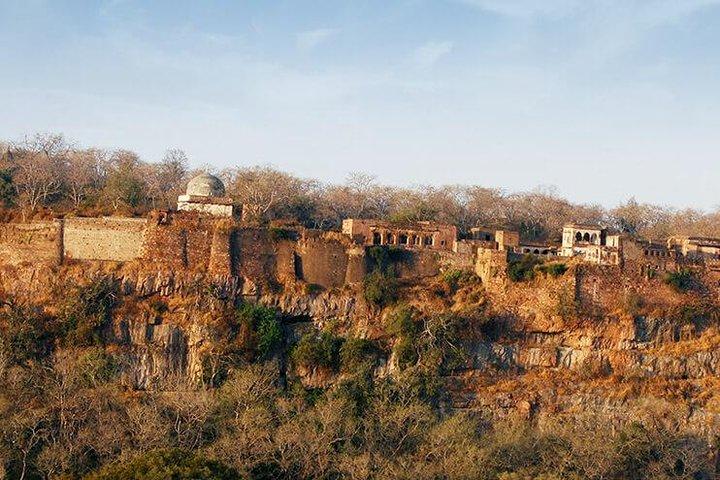 2 dagar Ranthambore Tiger Safari med biljetter