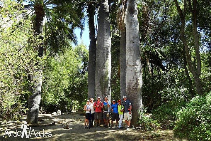Randonnée dans le PARC NATIONAL DE LA CAMPANA Visite privée
