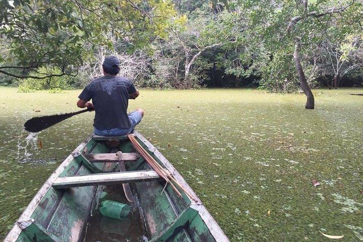 Amazon Survival Tour 6D / 5N
