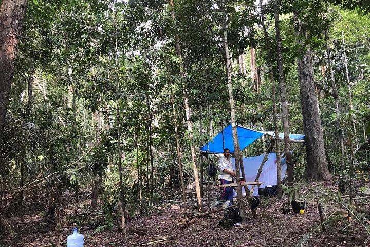 Amazon Survival Tour 6D / 5N