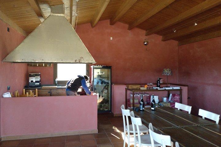 Weinprobe und typisches Frühstück Kleingruppentour ab Girona