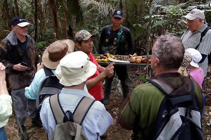 Halbtagestour - Jaguar Jungle Survival - Amazonas-Regenwald - Von Manaus