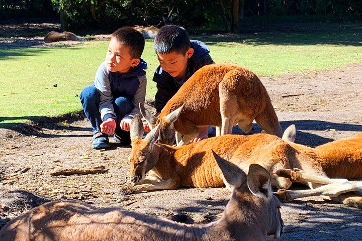 Excursiones privadas de un día a Perth Kids Explorer