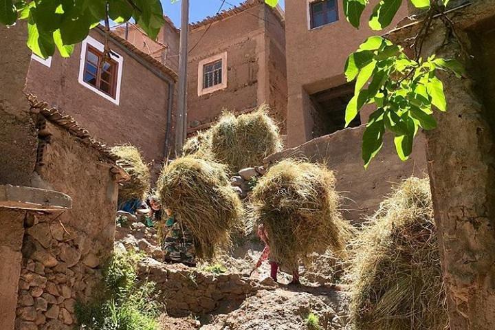 Atlas Mountains Day Trip med Camel Ride fra Marrakech inklusive frokost