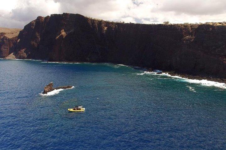 Lanai Deluxe Dolphin Adventure og 3 snorkelsteder