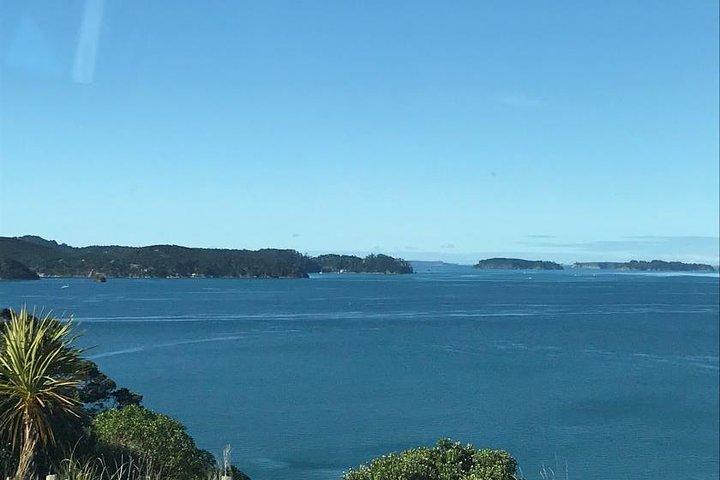 Tāwharanui- Dem Rummel entfliehen und Neuseeland pur erleben - Privattour