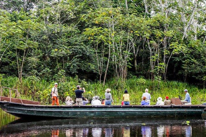 4-daagse jungle van het Peruaanse natuurreservaat Tambopata
