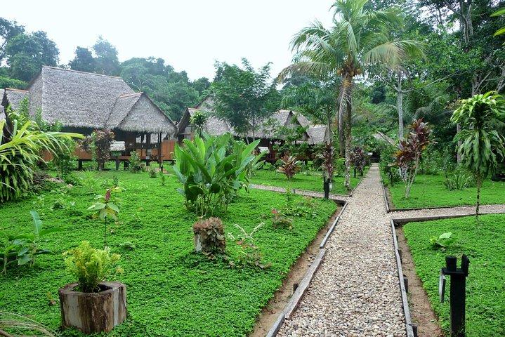 4-daagse jungle van het Peruaanse natuurreservaat Tambopata