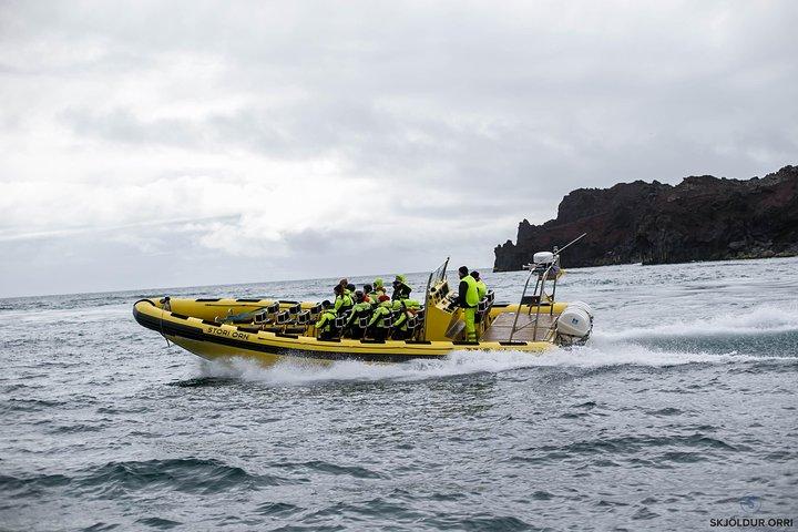 2 Stunden Rundreise in Vestmannaeyjar auf einem RIB Boot