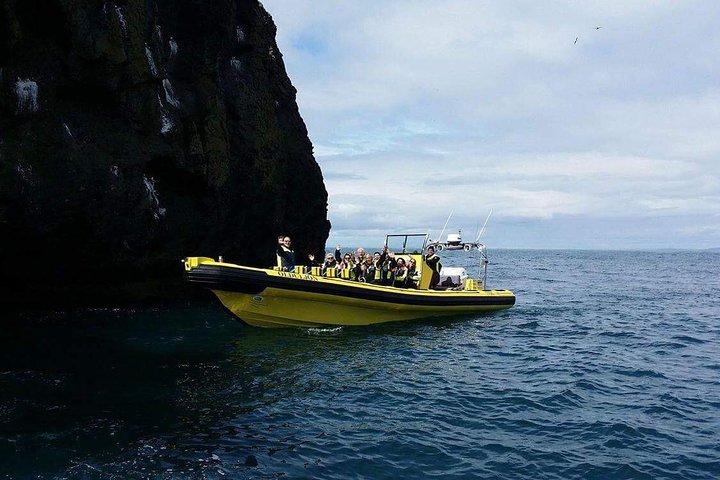 2 Stunden Rundreise in Vestmannaeyjar auf einem RIB Boot