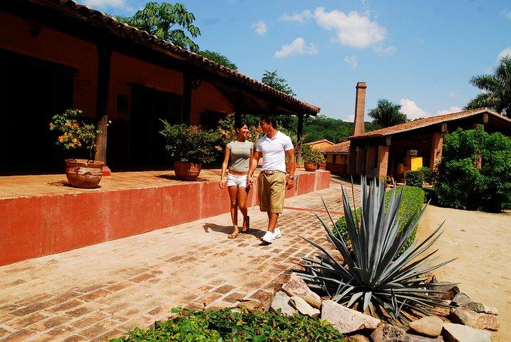 From Mazatlan - La Noria Artisan Tour A Agave Azul