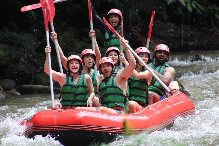 Bali Private Car Charter Tour with English Speaking Driver