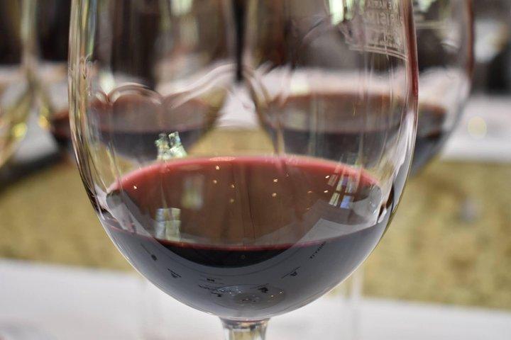 Uco Valley Wine Tour