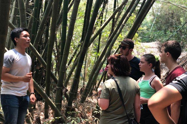 Tour privato dei tunnel di Cu Chi - Esplora la storia e i siti locali fuori dal percorso