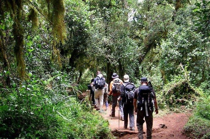 5 días ruta del Kilimanjaro Marangu