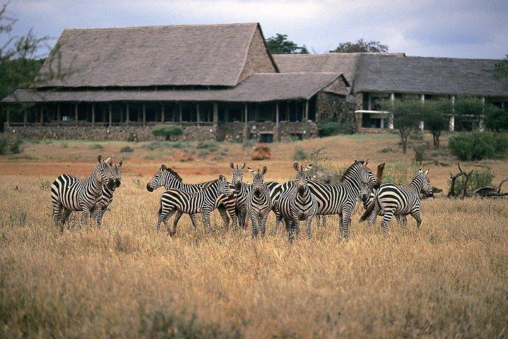 2 - デイモンバサからツァボ西&ツァボ東野生動物サファリ