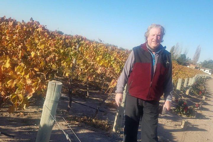 Uco Valley Wine Tour