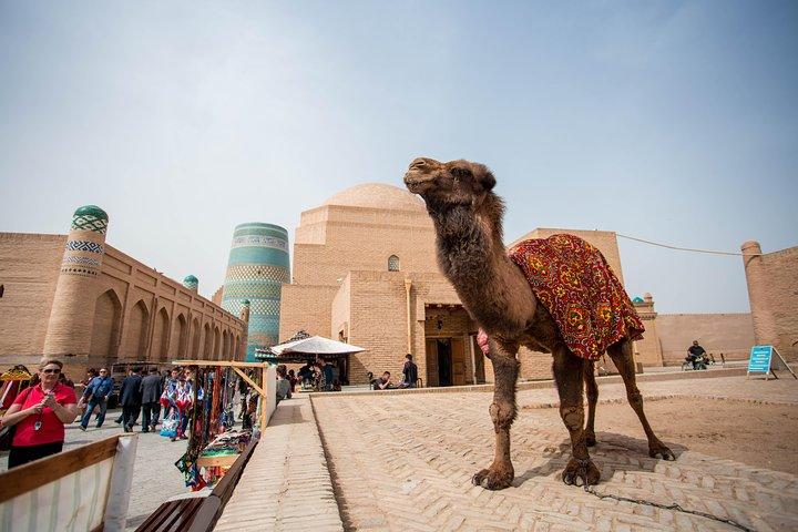 Excursão ao Grande Uzbequistão