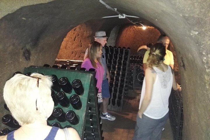 Castelli Romani, Frascati, Castel Gandolfo, Albano-meer + wijnproeverij - 8 pax