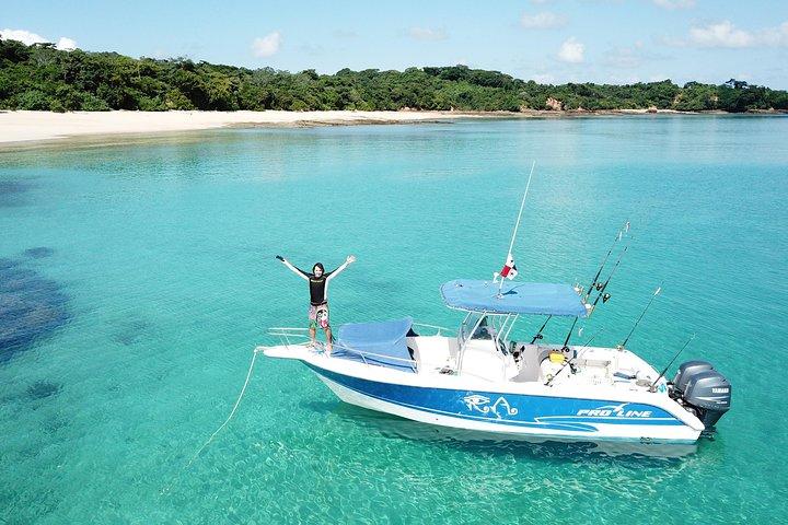 Privat fiskeri og øhopping – 27ft Proline | Perleøerne