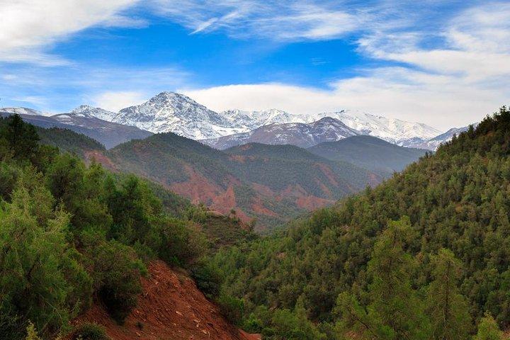 Tagesausflug ins Ourika-Tal und zum Hohen Atlas von Marrakesch aus: Geteilt