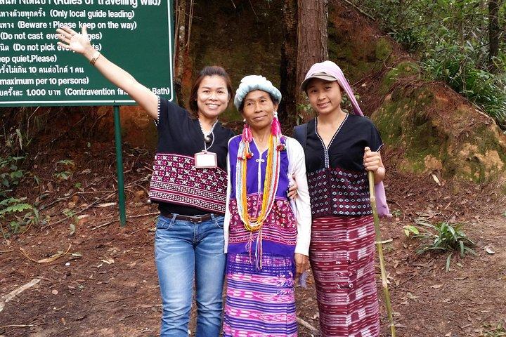 Privat turguide: uafhængig guide og team i Chiang Mai