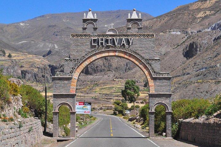 Excursion d'une journée au canyon du Colca au départ d'Arequipa