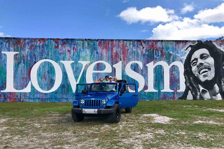 Privétour: South Beach Sightseeing