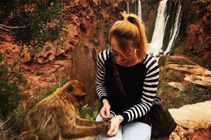 Marrakech: Excursão de um dia em Ouzoud Waterfall