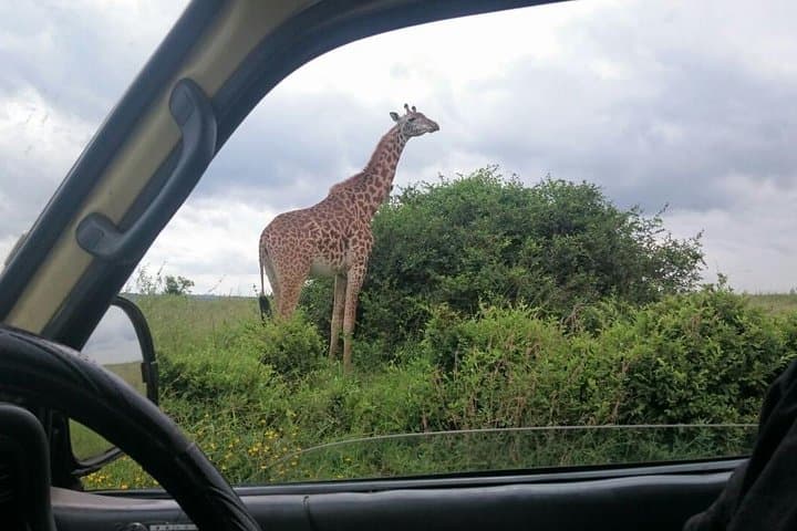 Nairobi 8.a.m Pick Up/mamba Village/elephant Sanctuary/giraffe Centre/nairobi Pk