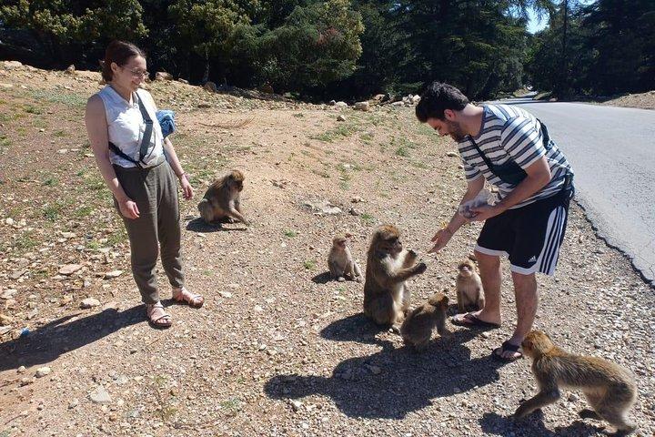 フェズからマラケシュへの小グループでの3日間の旅