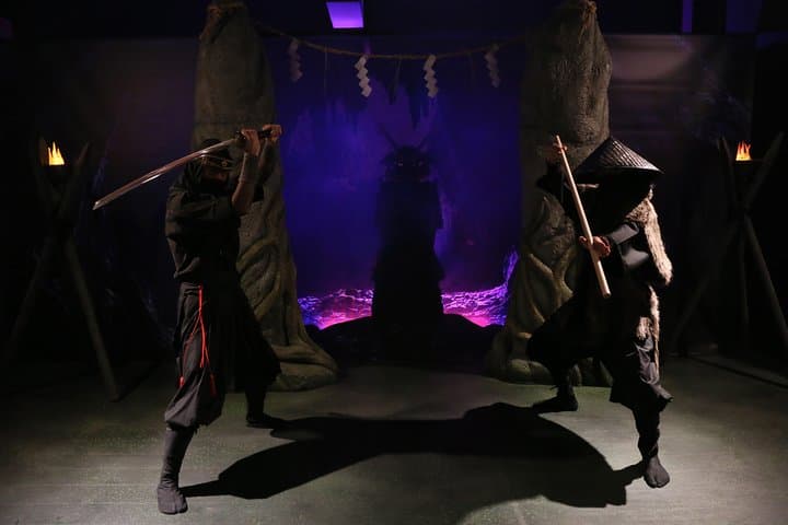 Ninja Lesson in Tokyo – 1 Hour Hands-On with Japanese Master