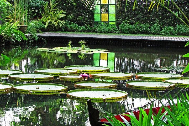 Tour di Penang Round Island con Tropical Spice Garden e Entopia Butterfly Farm