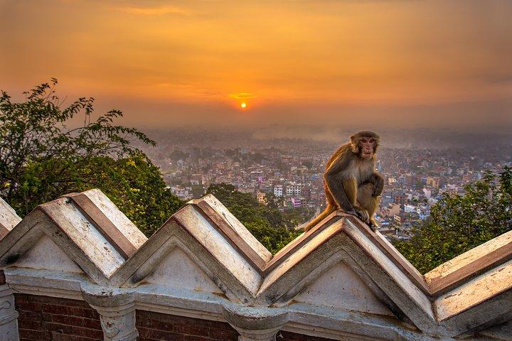 Private Nepal Rundreise inklusive Ghorepani Poonhill Wanderung