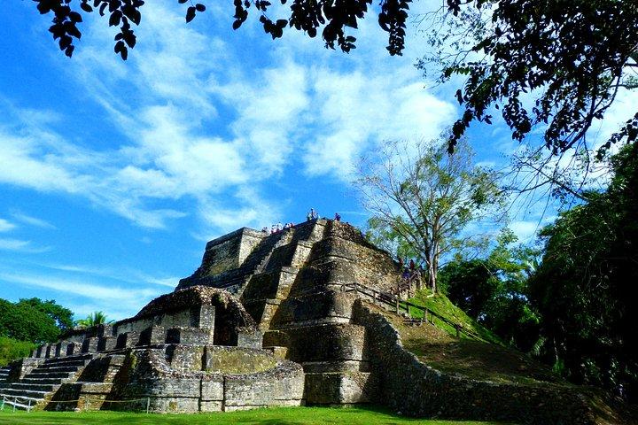 Ruína privada de Altun Ha Maya e aventura com macacos bugios da cidade de Belize