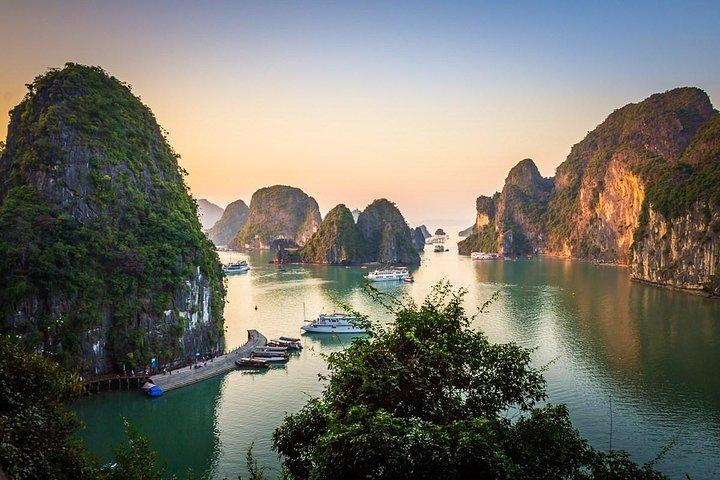 Premium Ha Long Bay Day Trip – Crociera sul polpo di mare da Hanoi