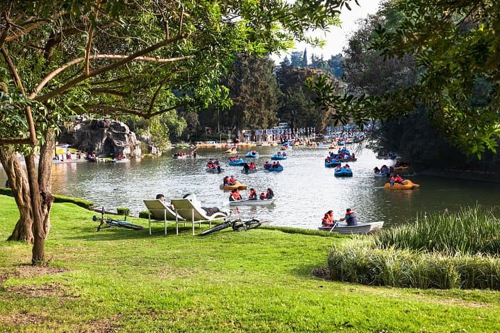 Xochimilco Floating Gardens Tour with a Local: Private & Custom