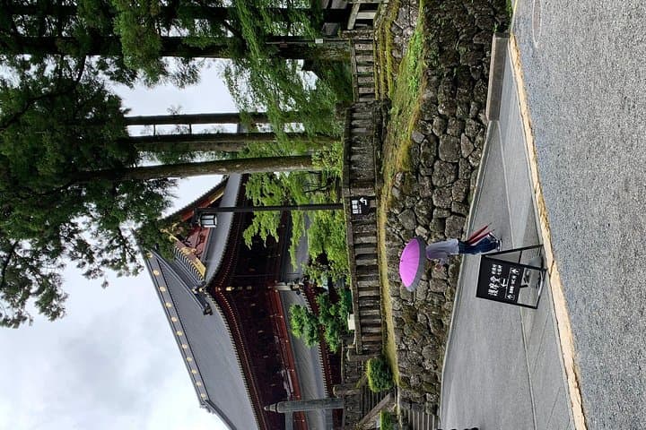 Nikko one day trip GREEN NUMBER PLATES